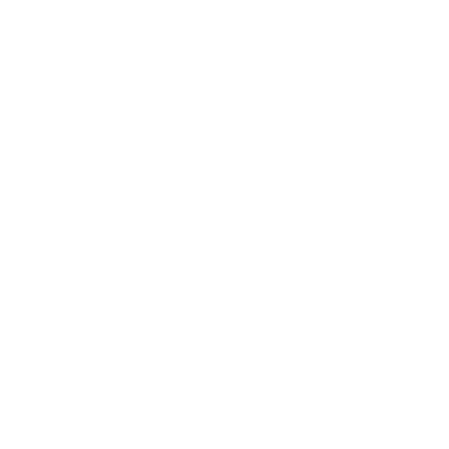 salt connector